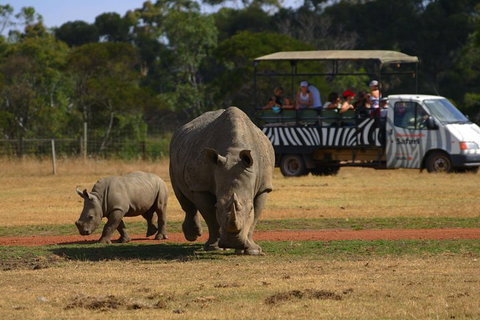 Off-Road Safari At Werribee Open Range Zoo - VIC Tourism 5