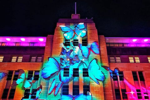 Vivid 90-Minute Sydney Harbour Small Group Catamaran Cruise - VIC Tourism 0