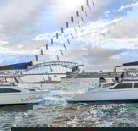 Vivid 90-Minute Sydney Harbour Catamaran Cruise with BYO Drinks - VIC Tourism