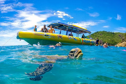 Great Barrier Reef Scenic Flight And Ocean Rafting Whitehaven Beach Day Trip - VIC Tourism 1