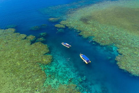 Great Barrier Reef Scenic Flight And Ocean Rafting Whitehaven Beach Day Trip - VIC Tourism 4