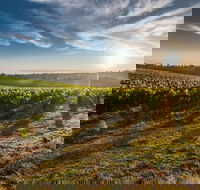 Perth to Margaret River Wine Tour - 2 Day Premium Boutique Wine Tour Experience - VIC Tourism