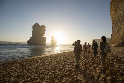 Small-Group Sunset Great Ocean Road Chocolaterie Tour From Melbourne - VIC Tourism 1