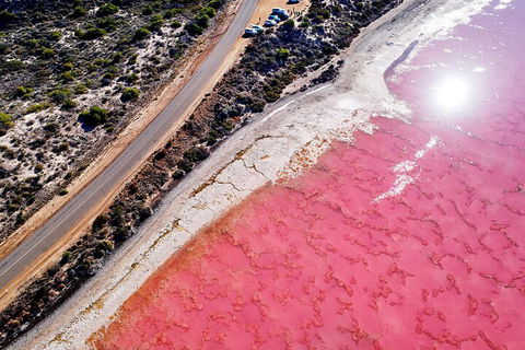 7-Day Exmouth Explorer Via Pinnacles Monkey Mia Ningaloo Reef Returning To Perth - VIC Tourism 0