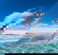 4-Day Coastal Loop via Monkey Mia Wild Dolphins Kalbarri Pinnacles Perth Return - VIC Tourism