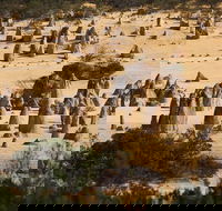 Pinnacles Sunset Dinner and Stargazing Experience a Small Group Tour - VIC Tourism