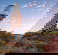 6-Day Coral Coaster from Perth to Exmouth One-Way via Monkey Mia Ningaloo Reef - VIC Tourism