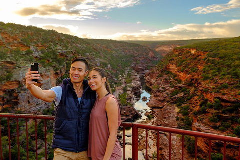 6-Day Coral Coaster From Perth To Exmouth One-Way Via Monkey Mia Ningaloo Reef - VIC Tourism 1