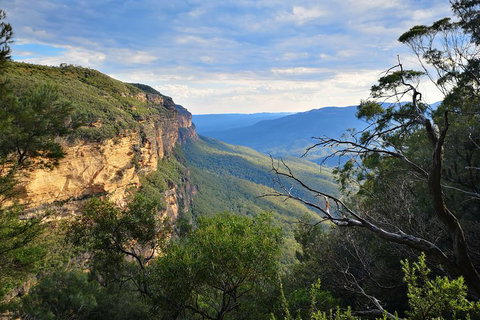 Sunset Blue Mountains Wilderness & Wildlife Tour Without The Crowds - VIC Tourism 2