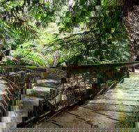 12 Apostles Eco-Friendly Great Ocean Road Iconic Adventure from Melbourne - VIC Tourism