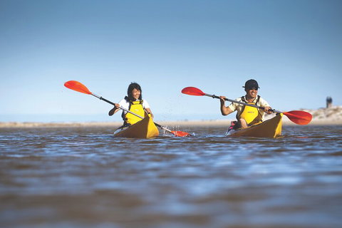 Kangaroo Island Self-Guided Kayaking On The Harriet River - VIC Tourism 2