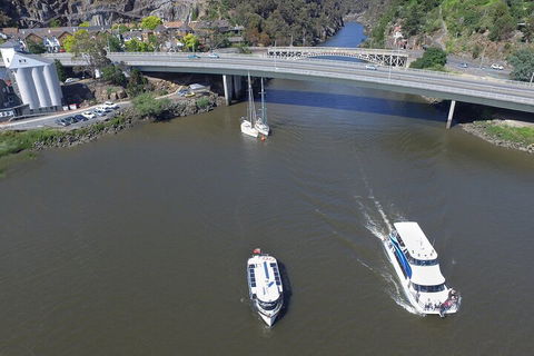 2.5 Hour Afternoon Discovery Cruise Including Cataract Gorge Departs At 1: 30 Pm - VIC Tourism 5