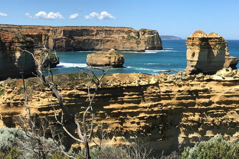 Great Ocean Road Reverse Itinerary Tour - VIC Tourism 1