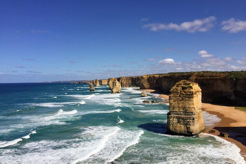 Great Ocean Road Reverse Itinerary Tour - VIC Tourism 4