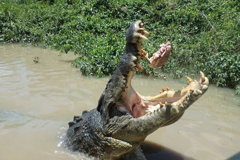 Litchfield And Jumping Crocodiles Full Day Trip From Darwin - VIC Tourism 3