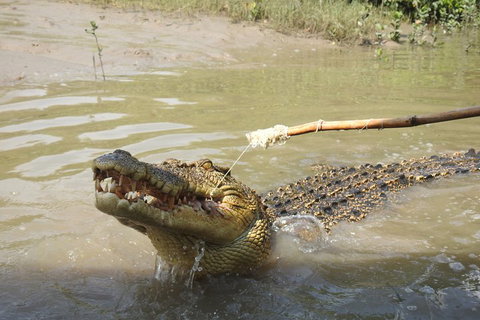 Litchfield And Jumping Crocodiles Full Day Trip From Darwin - VIC Tourism 4