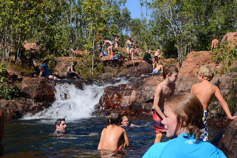Litchfield And Jumping Crocodiles Full Day Trip From Darwin - VIC Tourism 5