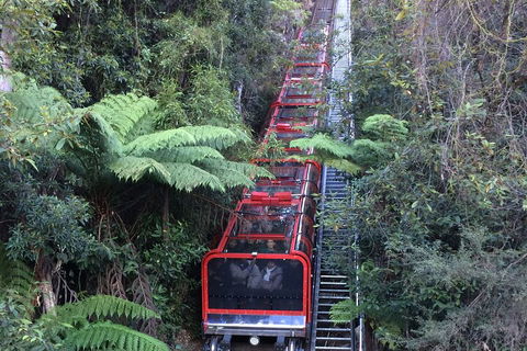 Blue Mountains Private Full-Day Tour From Sydney With Cruise - VIC Tourism 5