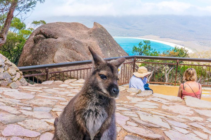  VIC Tourism