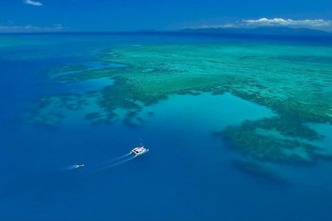 Full-Day Great Barrier Reef Sailing Trip - VIC Tourism 3