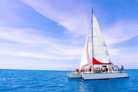 Full-Day Great Barrier Reef Sailing Trip - VIC Tourism 4