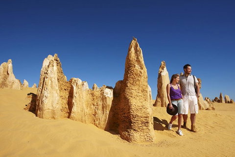 Pinnacles Day Trip From Perth Including Yanchep National Park - VIC Tourism 0