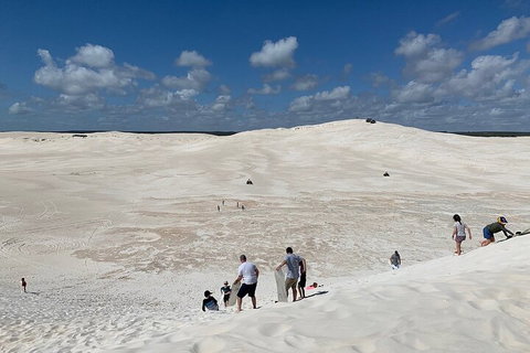 Pinnacles Day Trip From Perth Including Yanchep National Park - VIC Tourism 2
