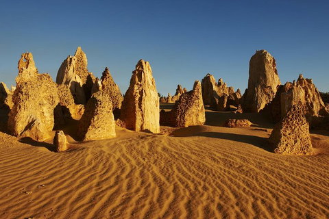 Pinnacles Day Trip From Perth Including Yanchep National Park - VIC Tourism 5