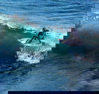 Great Ocean Road Highlights Tour - 2 Days 1 Night - VIC Tourism