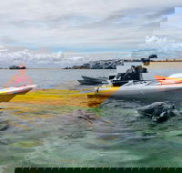 Seal Island and Penguin Island or Point Peron Sea Kayak Tour - VIC Tourism