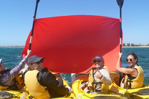 Seal Island And Penguin Island Or Point Peron Sea Kayak Tour - VIC Tourism 2