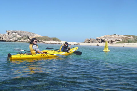 Seal Island And Penguin Island Or Point Peron Sea Kayak Tour - VIC Tourism 3