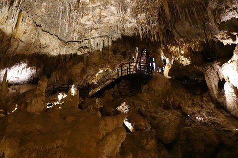 Ngilgi Cave Semi-guided Tour - VIC Tourism 2