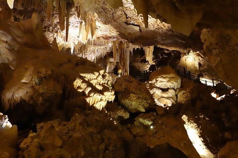 Ngilgi Cave Semi-guided Tour - VIC Tourism 3