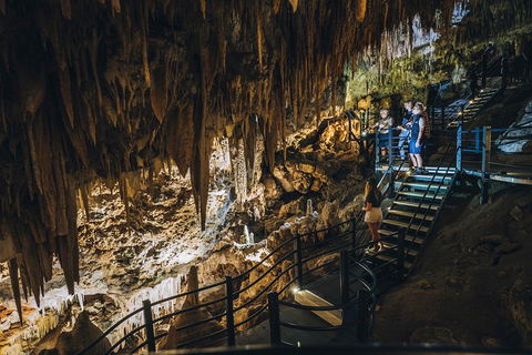 Ngilgi Cave Semi-guided Tour - VIC Tourism 5