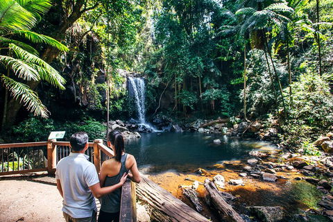Aquaduck & Your Choice Of Gold Coast Rainforest Tour - VIC Tourism 0