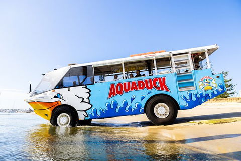 Aquaduck & Your Choice Of Gold Coast Rainforest Tour - VIC Tourism 3