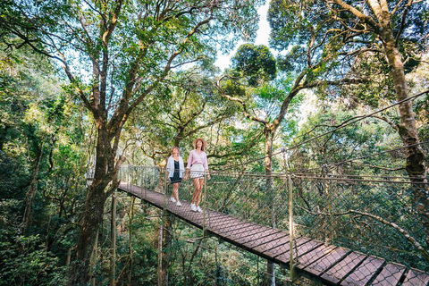 Aquaduck & Your Choice Of Gold Coast Rainforest Tour - VIC Tourism 4