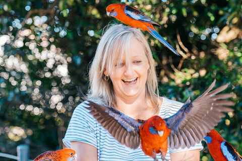 Aquaduck & Your Choice Of Gold Coast Rainforest Tour - VIC Tourism 5