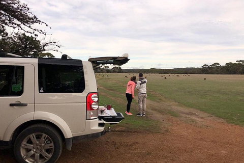 Kangaroo Island 4WD Tour - Flinders Chase - VIC Tourism 3