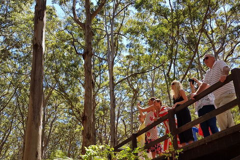 The All About Margaret River Tour: Wine, Coffee, Lunch And Forest - VIC Tourism 3