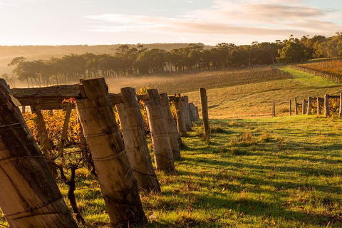 The All About Margaret River Tour: Wine, Coffee, Lunch And Forest - VIC Tourism 5