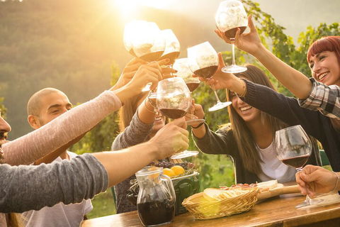 Yarra Valley, Dandenong Ranges Inc. Lunch With Wine,plus Morning Tea,chocolate - VIC Tourism 4