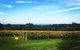 Yarra Valley Private Car Winery Tour And Chocolate.1-7 Passengers One Car Price - thumb 0