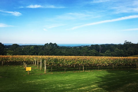 Yarra Valley Private Car Winery Tour And Chocolate.1-7 Passengers One Car Price - VIC Tourism 0
