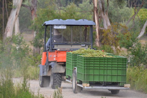 Yarra Valley Private Car Winery Tour And Chocolate.1-7 Passengers One Car Price - VIC Tourism 1