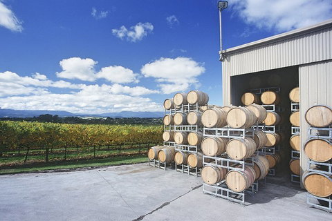 Yarra Valley Private Car Winery Tour And Chocolate.1-7 Passengers One Car Price - VIC Tourism 2