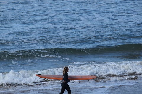 Private Day Tour Of Phillip Island Wildlife And Brighton Beach - VIC Tourism 0