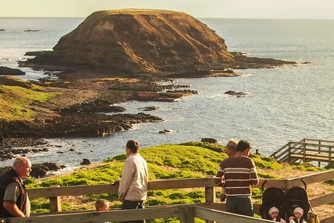 Healesville Sanctuary And Phillip Island Wildlife Bus Tour - VIC Tourism 3
