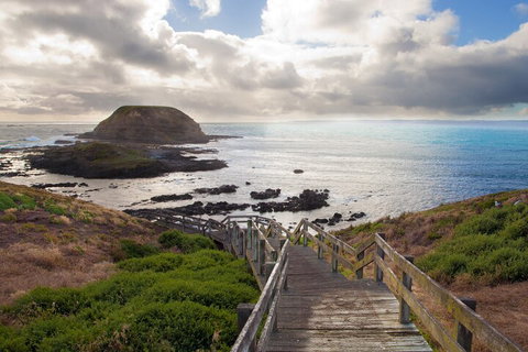 Healesville Sanctuary And Phillip Island Wildlife Bus Tour - VIC Tourism 5
